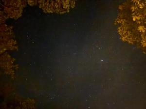 Eternal Forest Beach Bar&Bungalow