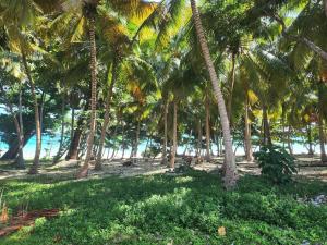 Apartment in front of beach, AC, Wifi, Hot Water