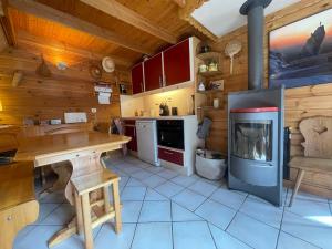 Chalet paisible avec cheminée et animaux acceptés près des pistes - FR-1-624-176