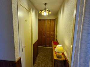 Appartements Appartement spacieux au pied des pistes a Super Besse - FR-1-814-87 : photos des chambres