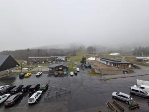 Appartements Appartement spacieux au pied des pistes a Super Besse - FR-1-814-87 : photos des chambres