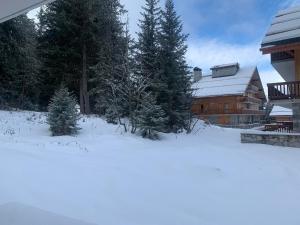 Studio ski aux pieds Méribel Altiport, balcon, jusquà 4 pers. - FR-1-411-974
