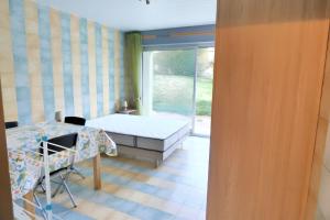 Appartements Studio charmant dans Brioude – 25 m² avec terrasse et parking : photos des chambres