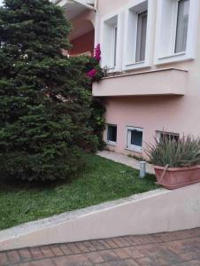 Lovely studio close to the center