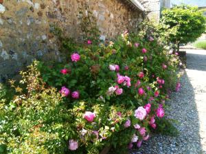 Sejours a la campagne Residences Le Clos du Manoir - Self Cooking : photos des chambres