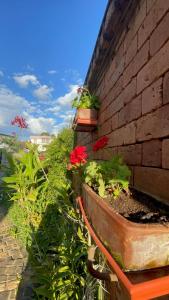 Excellentia Antsirabe