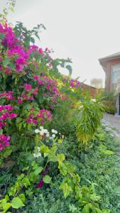 Excellentia Antsirabe