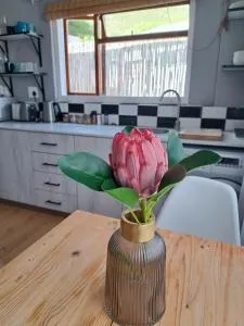 Mons Pes in Lakeside - Westlake