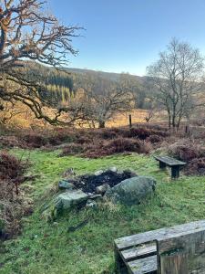 The Nest Glamping Pod