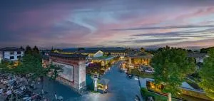 Hong Long Jing Hotel - da