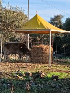 LA CROISETTE Agriturismo - Farmhouse img20