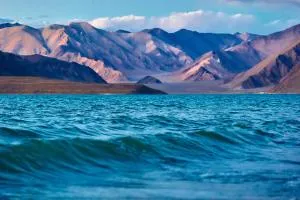 Bukpa Retreat - Pangong - Man