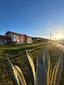 Apartamento de la playa VUT 7012 AS