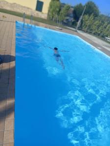 LA TANA DEL CINGHIALE