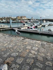 Le clos de la Galiote