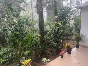 Greenspun homestay
