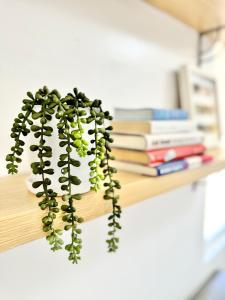 Seaview 2br condo near NuSTAR & SM Seaside