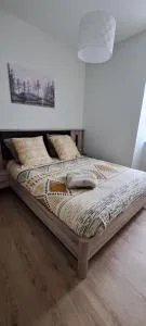 Le Nid Douillet de Bergheim - Guémar