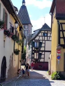 Appartements Le Nid Douillet de Bergheim : photos des chambres
