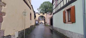 Appartements Le Nid Douillet de Bergheim : photos des chambres
