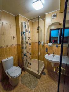 Double or Twin Room room in Hotel Dorobanti