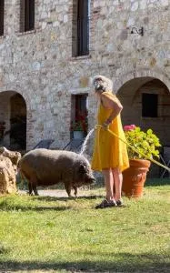 Agriturismo Sole - Rigomagno