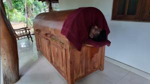 Harmony Haven Ayurvedic Luxury Spa