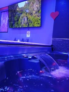 B&B / Chambres d'hotes spa privatif Dydy's love saint amand les eaux : photos des chambres