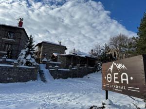 ΞΕΝΩΝΑΣ ΘΕΑ