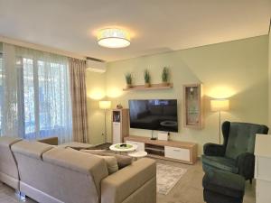 Olive Tree Apartment - 290