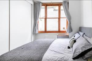 City Centre Garden Flat