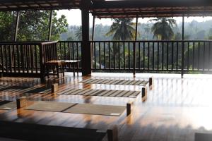 The Jungle View