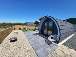 Ballyhemlin pods - Blackthorn - Dunseverick