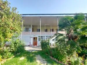 ArzuShekiHouse - 卡希