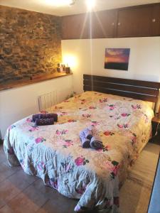 Bela Vista Alqueve - traditional stone house and private pool