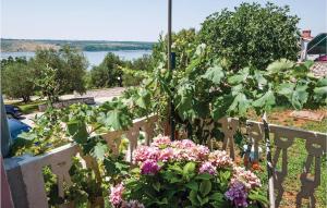 Three-Bedroom Apartment In Posedarje