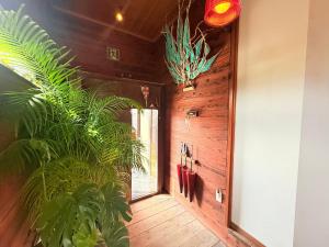 Serendipity KIKAI 喜界島