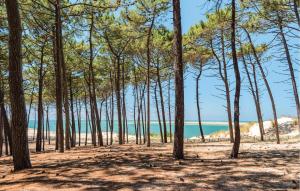 Maisons de vacances 4 Bedroom Amazing Home In Lanton : photos des chambres