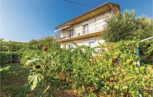 Beautiful Apartment In Bribir With Wifi