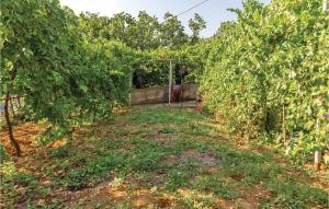 Beautiful Apartment In Bribir With Wifi