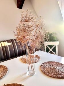 Ferienwohnungen Blaue Maus Mirow