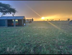 Bush and Forest Camps