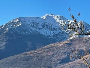 Chalets Les marmottes : photos des chambres
