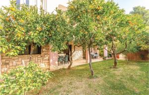 2 Bedroom Lovely Apartment In Pula