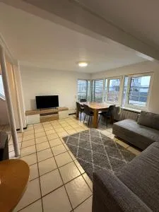 Diti Apartment Singen - 辛根