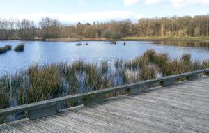 Gorgeous Home In Diever With Wifi