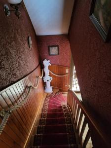 Appartements Studio Colmar : photos des chambres
