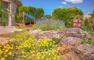 Maisons de vacances Awesome Home In Pardailhan With Kitchen : photos des chambres