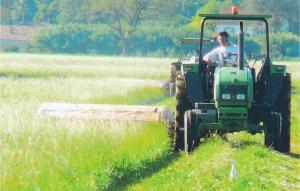Maisons de vacances Lovely Home In Arles With Wifi : photos des chambres