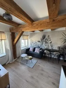 Apartament Centro 9 - Leszno